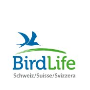 birdlife